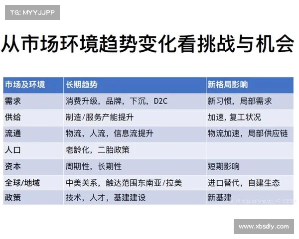 法甲俱乐部管理模式的创新与挑战分析:从财务运营到球队建设的全方位探讨 法甲俱乐部管理模式的创新与挑战分析:从财务运营到球队建设的全方位探讨