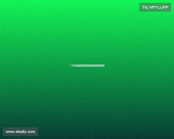 CBA合同制度改革与球员薪资结构变化的影响分析